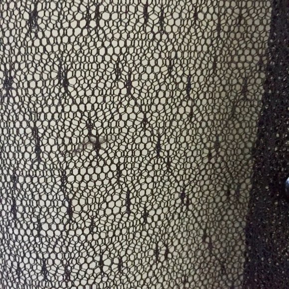 The Limited Sheer Button-up Blouse - Vintage - Picture 4 of 5